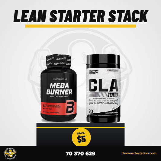 Lean Starter Stack bundle