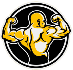 The Muscle Station
